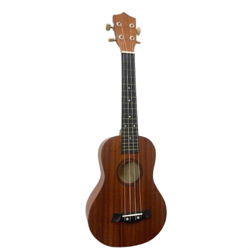 Đàn Ukulele Concert Màu Gỗ Tự Nhiên
